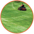 Mowing Services